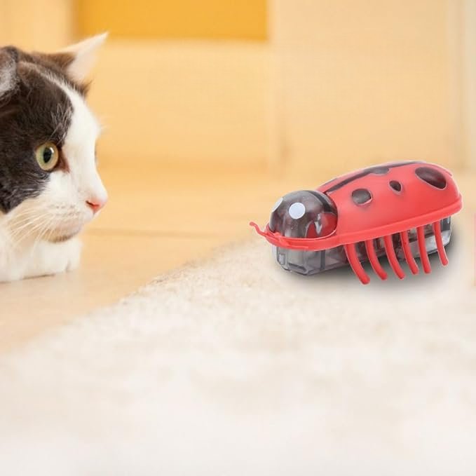 Jouet Interactif Chat - MiniInsecteToy™ - Coccinelles - Chat Divin