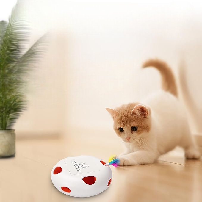 Jouet Interactif Chat - PlumeMagique™ - Blanc - Chat Divin