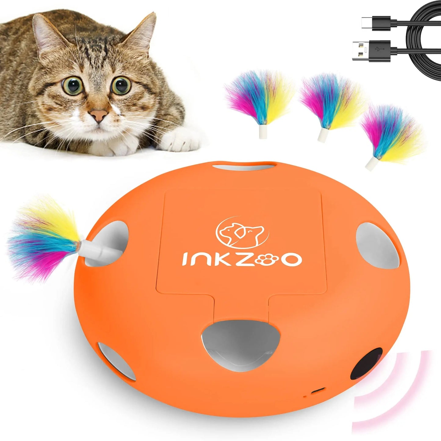 Jouet Interactif Chat - PlumeMagique™ - Orange - Chat Divin