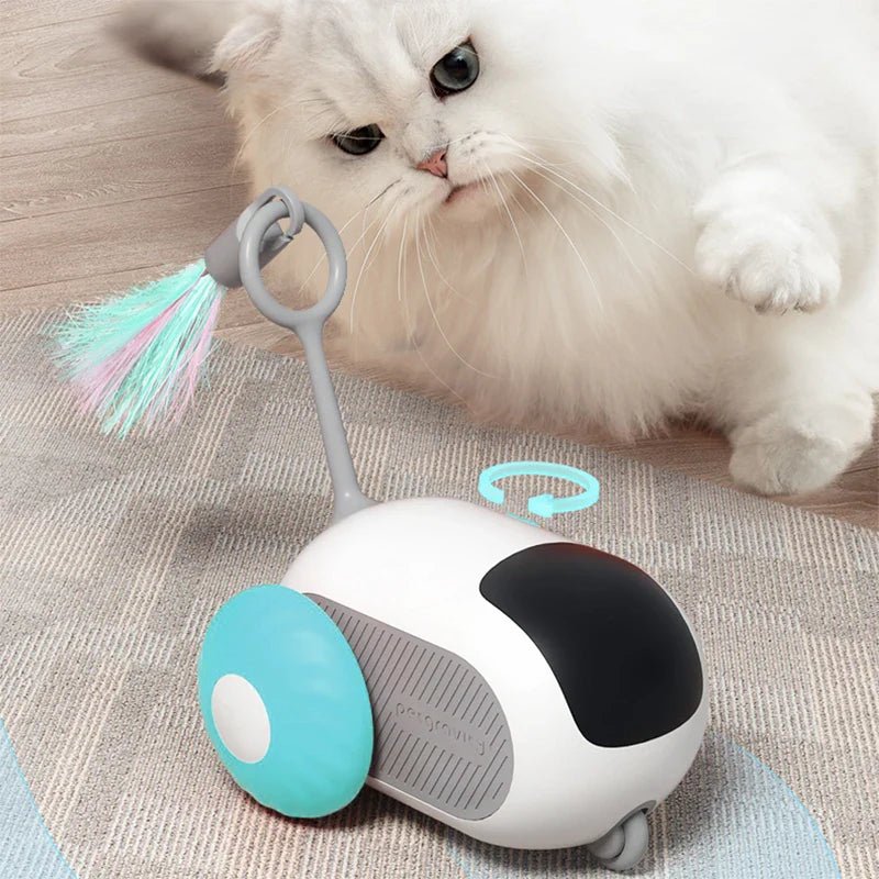 Jouet Interactif Chat - ToyFunCats™ - Bleu - Chat Divin