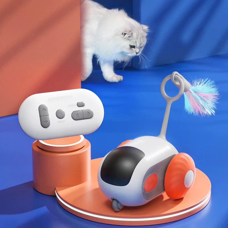 Jouet Interactif Chat - ToyFunCats™ - Orange - Chat Divin