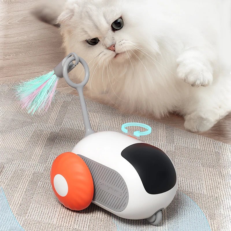 Jouet Interactif Chat - ToyFunCats™ - Orange - Chat Divin